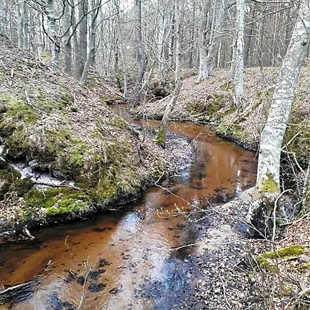 Morska