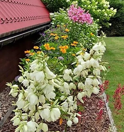 Morska Lodge Lubiatowo (Pomerania)