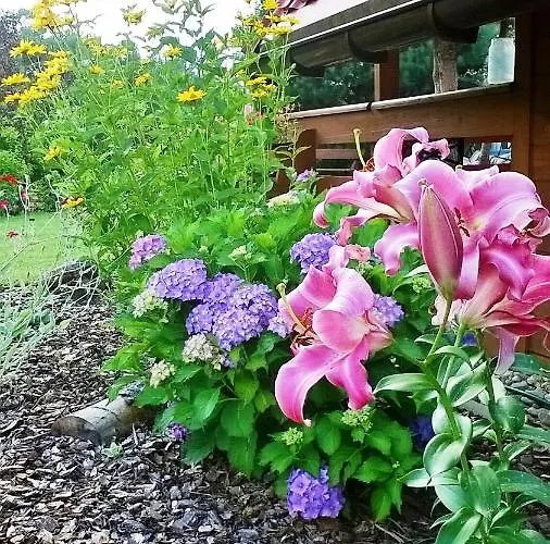 بيت خشبي Morska