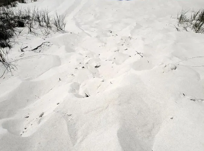 بيت خشبي Morska *