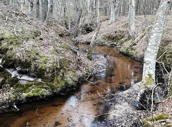 Morska * لوبيتاتو