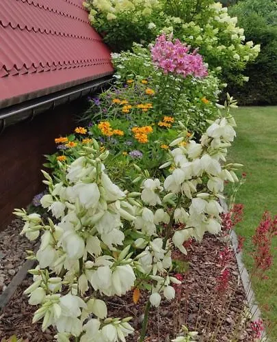 بيت خشبي Morska