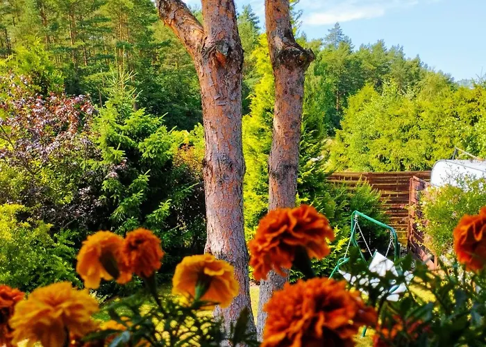 بيت خشبي Morska *