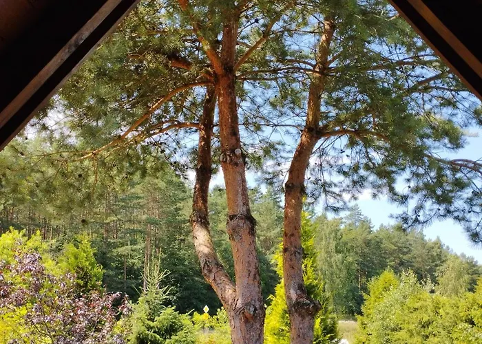 بيت خشبي Morska لوبيتاتو